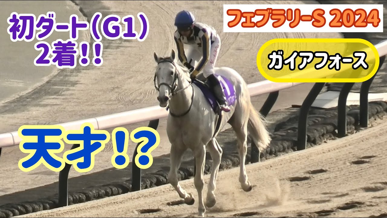 【フェブラリーS 2024】初ダートのG1で2着取っちゃってウキウキで足早に帰るガイアフォース