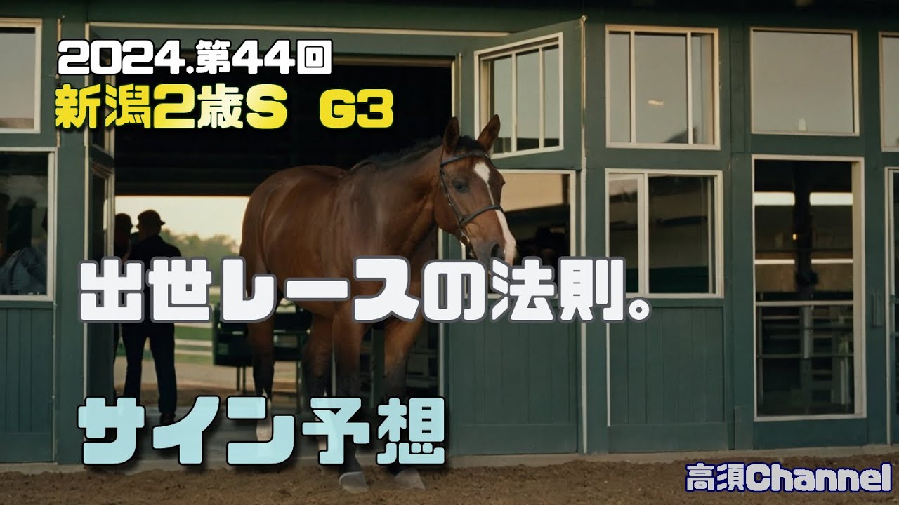 2024 新潟2歳S/出世レースの法則　809