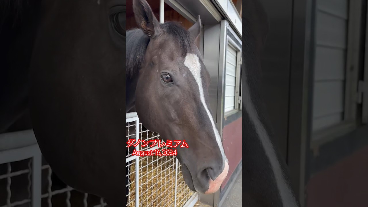 【ダノンプレミアム】涙なんかかなわないきっと越えて行けるDon't give up🌈✨