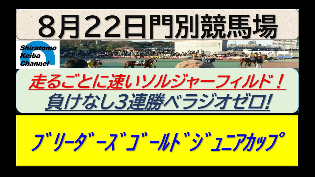 【競馬予想】ブリーダーズゴールドジュニアカップ！～２０２４年８月２２日 門別競馬場 ：８－５８