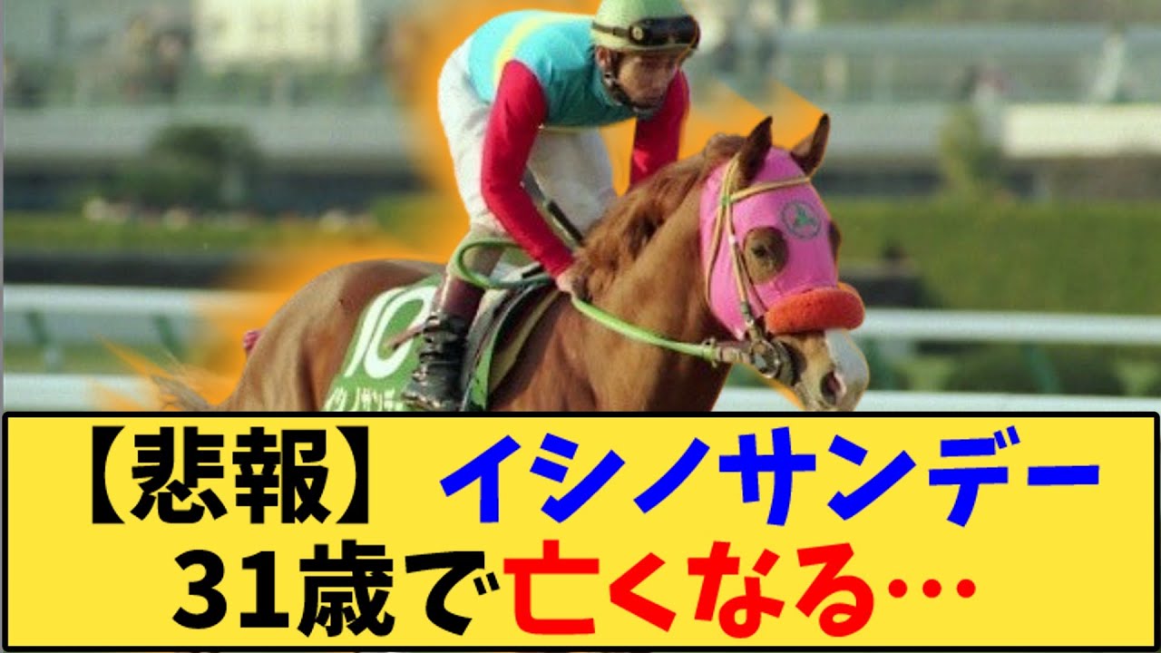 【競馬】「【悲報】皐月賞馬、イシノサンデー逝く 」に対する反応【反応集】