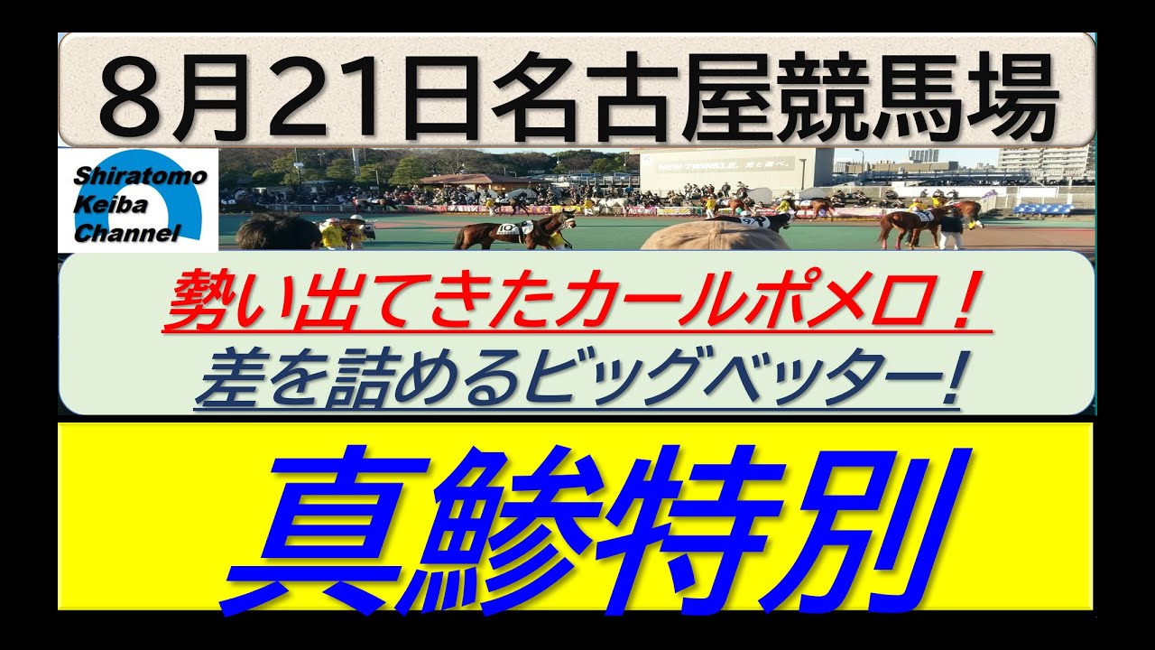 【競馬予想】真鯵特別！～２０２４年８月２１日 名古屋競馬場 ：８－５７