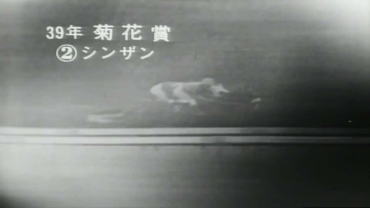 1964年　菊花賞　シンザン