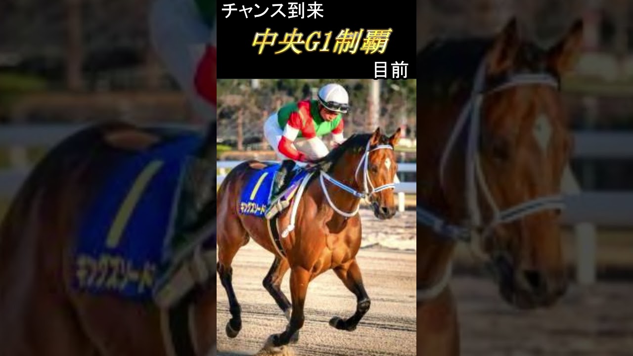 【 2024 フェブラリーステークス 】注目馬１分紹介『 日曜日版 』ここは勝って次代のダートトップクラスに名乗りを上げろ！（ キングズソード ）