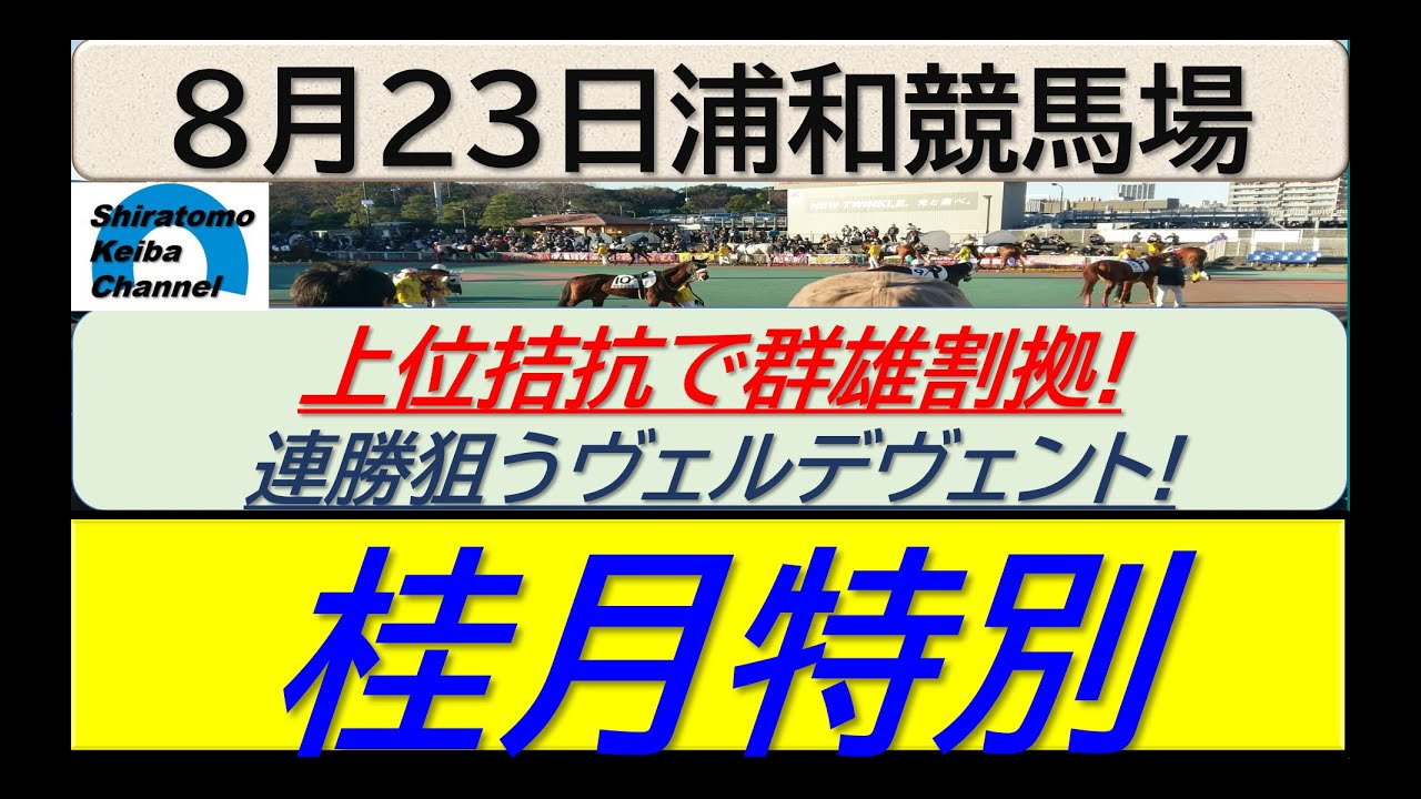 【競馬予想】桂月特別！～２０２４年８月２３日 浦和競馬場 ：８－６２