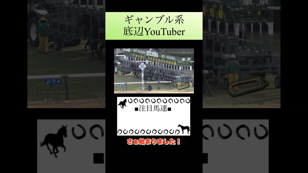 #【ブルギャン日記】#エピソード零.132話#東京#競馬#フェブラリーステークスG1#勘違い
