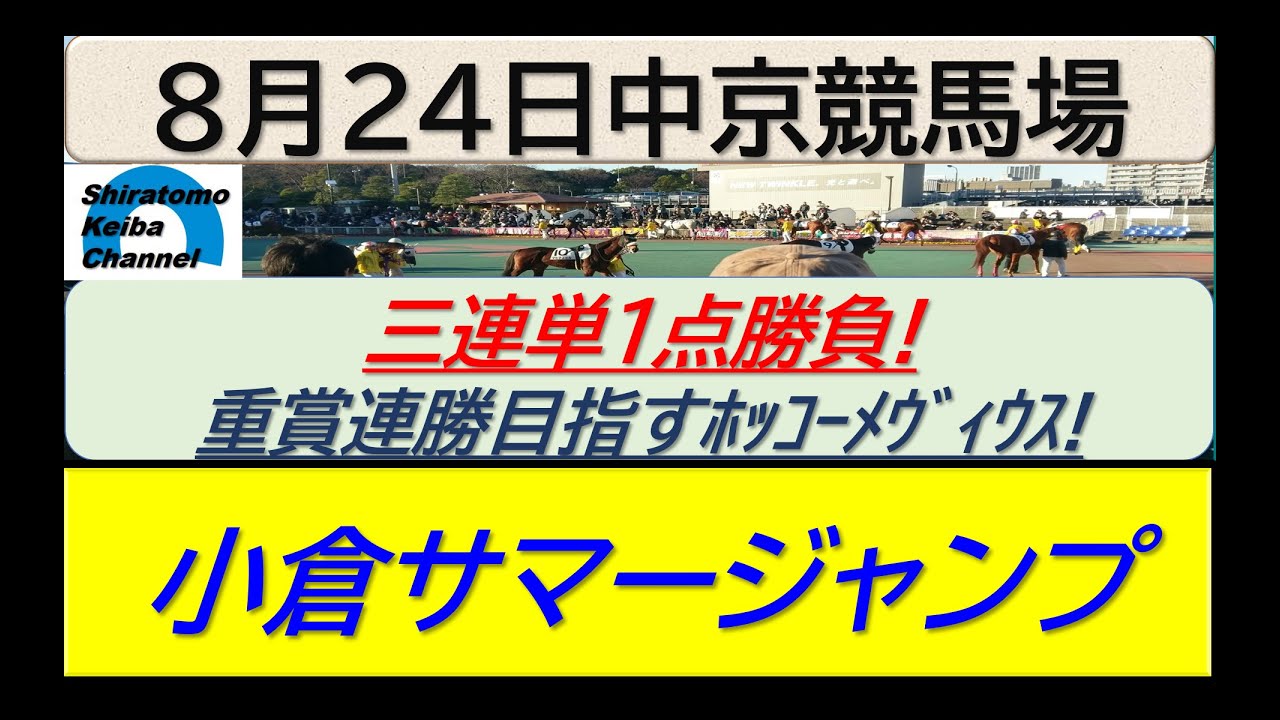 【競馬予想】JGⅢ小倉サマージャンプ！～２０２４年８月２４日 中京競馬場 ：８－６４