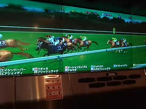 4ラモンティー 安田記念