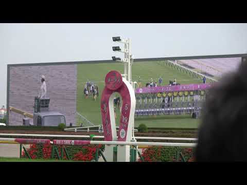オークス(GⅠ) 現地 ファンファーレ 生演奏 2024/5/19 優駿牝馬