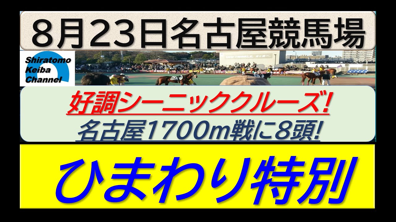 【競馬予想】ひまわり特別！～２０２４年８月２３日 名古屋競馬場 ：８－６３