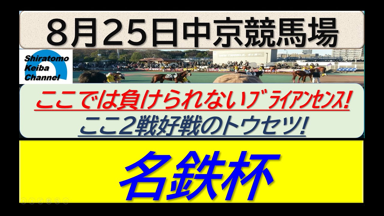 【競馬予想】名鉄杯！～２０２４年８月２５日 中京競馬場 ：８－６９