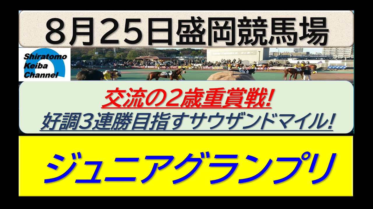 【競馬予想】ジュニアグランプリ！～２０２４年８月２５日 盛岡競馬場 ：８－７０