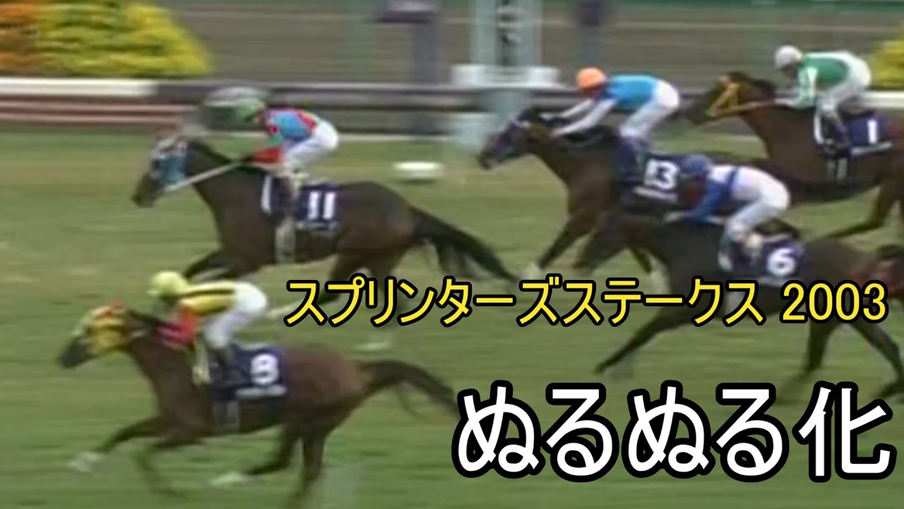 デュランダル スプリンターズステークス ぬるぬる化で見よう 2003 conv to 60fps