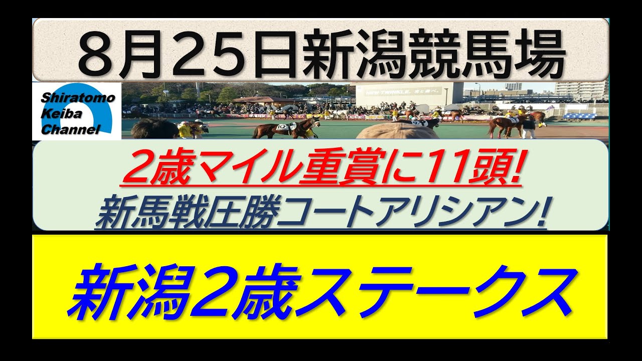 【競馬予想】GⅢ新潟２歳ステークス！～２０２４年８月２５日 新潟競馬場 ：８－６８