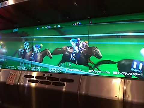 19キタノブラック 有馬記念引退