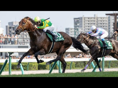 サトノレーヴ、スプリント重賞連勝　大一番スプリンターズＳへ「勝負になる」／キーンランドＣ