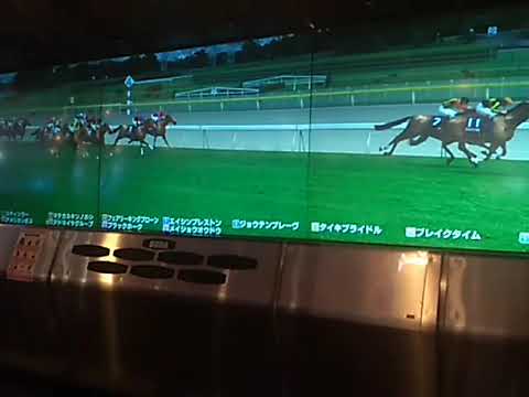 10アドマイヤグループ 安田記念