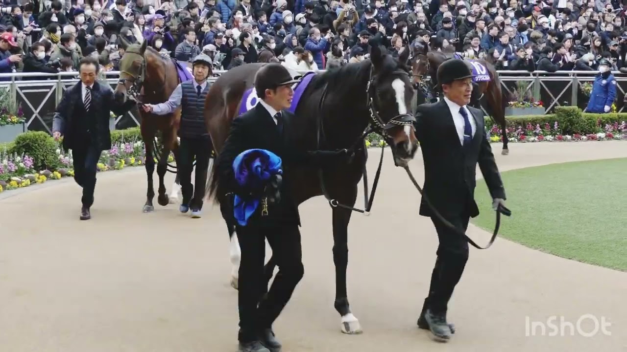 ホープフルS 2023 パドック