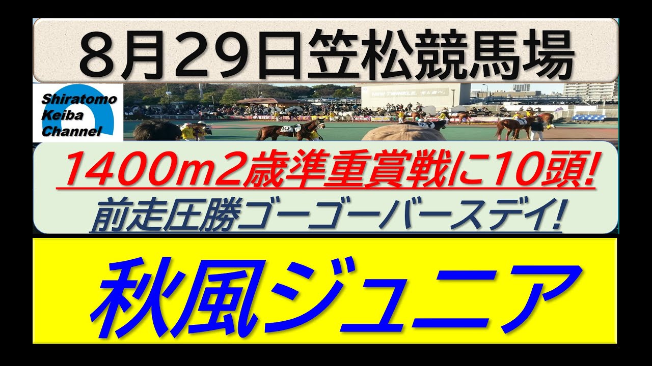 【競馬予想】秋風ジュニア！～２０２４年８月２９日 笠松競馬場 ：８－７９