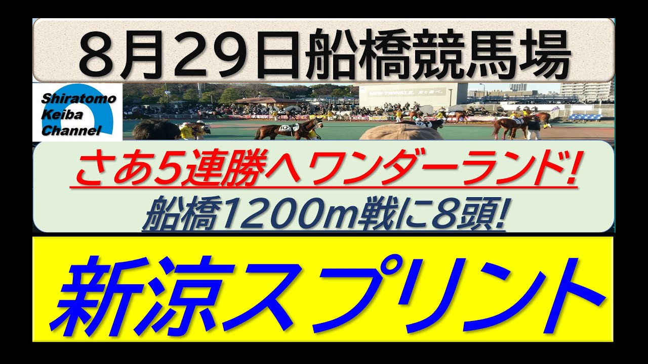 【競馬予想】新涼スプリント！～２０２４年８月２９日 船橋競馬場 ：８－７８