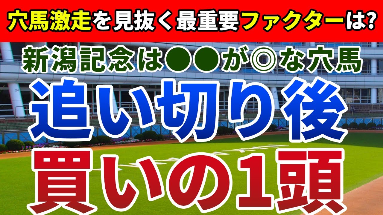 新潟記念2024 追い切り後【買いの1頭】公開！ハンデ戦の盲点となる斤量の捉え方は？最も条件に恵まれた１頭を発表！