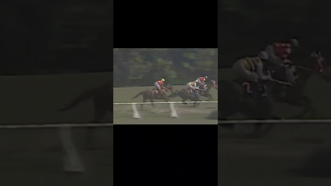 皇帝】シンボリルドルフの全GI　パート2