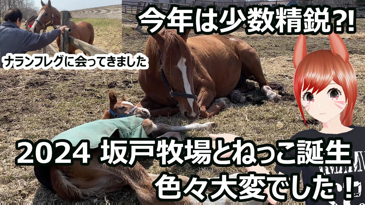 2024坂戸牧場とねっこ誕生 ナランフレグにも会ってきました
