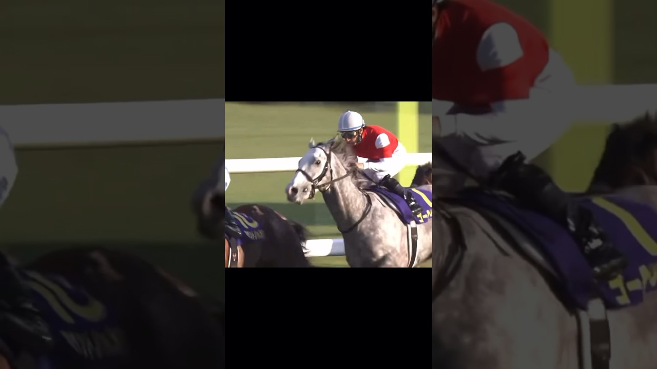 【競馬 MAD】ゴールドシップ 菊花賞 #ゴルシ #残響散歌 #かっこいい  #競馬
