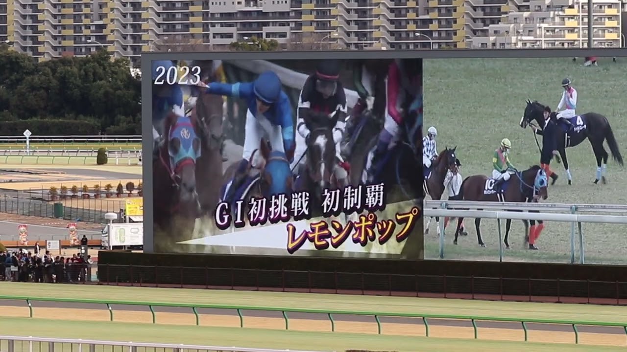 第41回フェブラリーステークスのファンファーレ