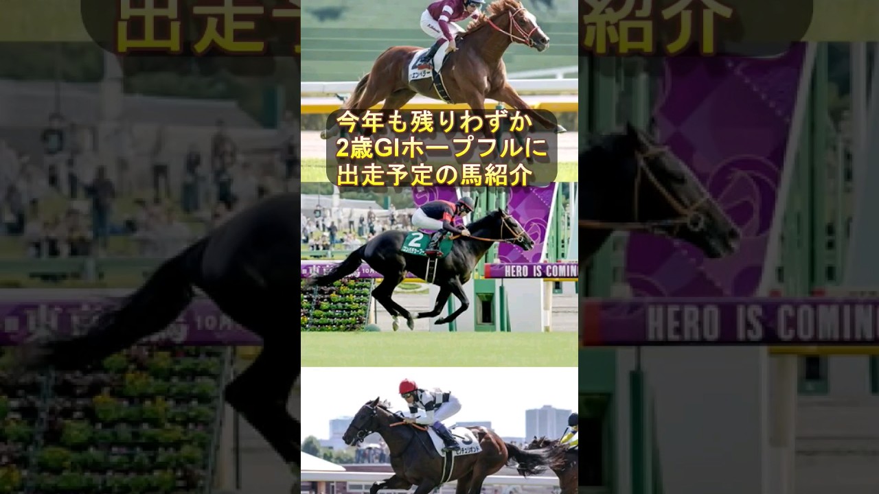 ホープフルS注目馬3頭！#シンエンペラー #ゴンバデカブース #センチュリボンド #ウマ娘 #ソットサス #ブリックスアンドモルタル #武豊