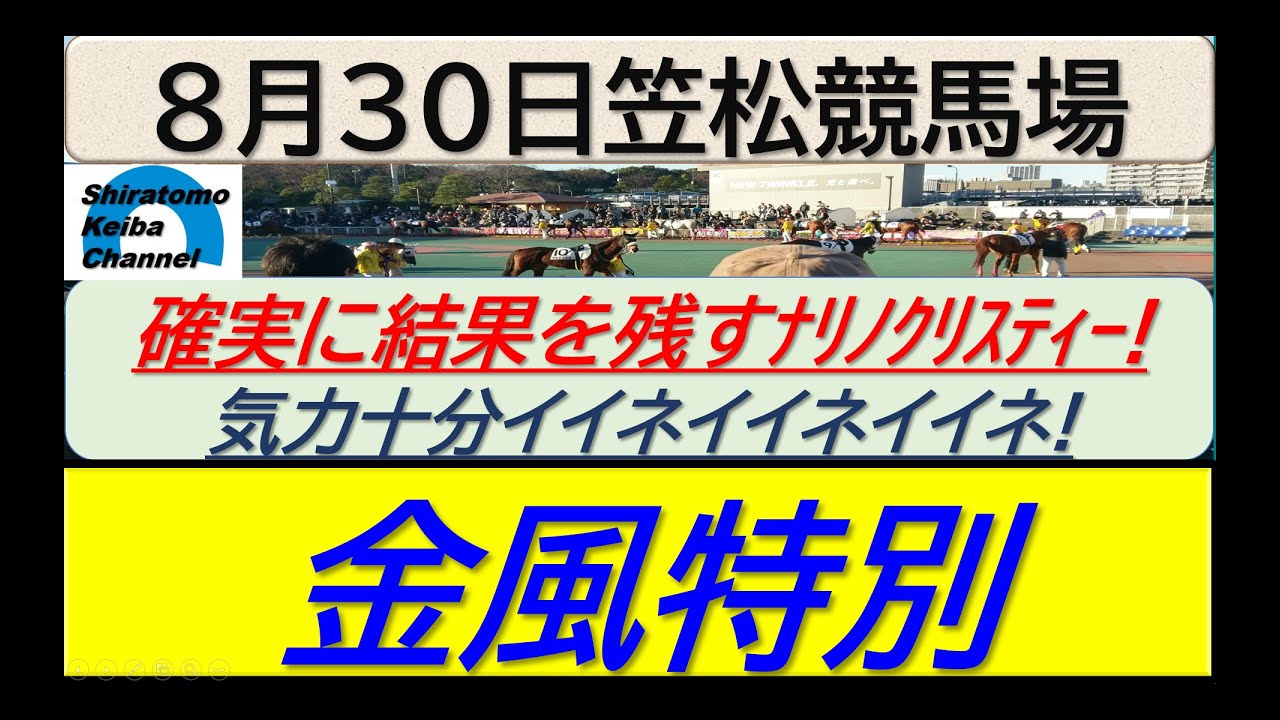 【競馬予想】金風特別！～２０２４年８月３０日 笠松競馬場 ：８－８０
