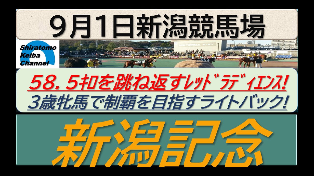 【競馬予想】GⅢ新潟記念！～２０２４年９月１日 新潟競馬場 ：９－１