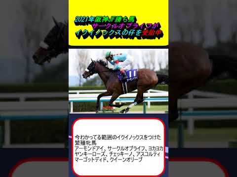 2021年阪神JF勝ち馬サークルオブライフがイクイノックスの仔を受胎中 #競馬 #競馬予想 #デムーロ #ルメール #アーモンドアイ #リバティアイランド #ディープインパクト #エピファネイア