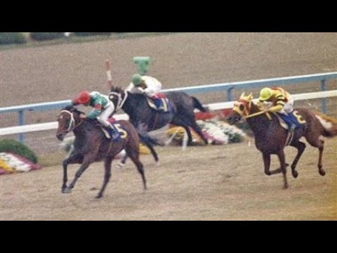 第45回　菊花賞（ＧⅠ）　シンボリルドルフ　牡３　57　岡部幸雄　1984.11.11　　出走馬：ゴールドウェイ、ニシノライデン、スズマッハ、ハーバークラウン、マチカネホンドーリ、リキサンパワー他