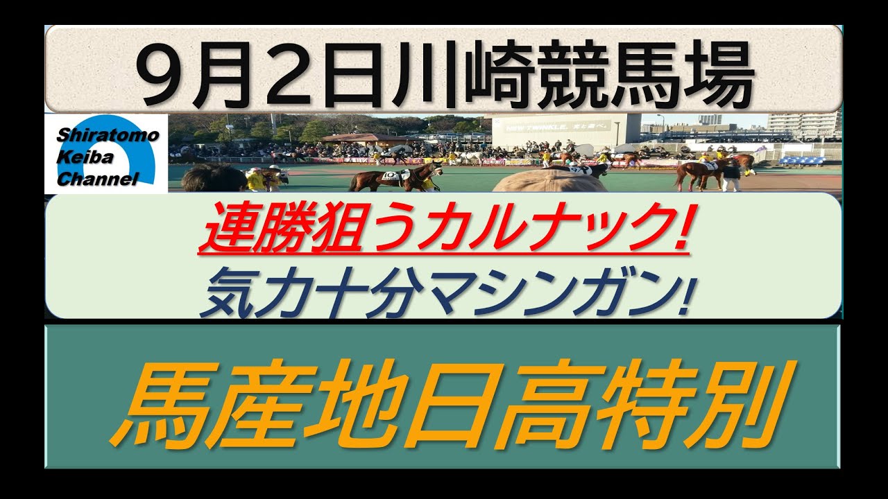 【競馬予想】馬産地日高特別！～２０２４年９月２日 川崎競馬場 ：９－６