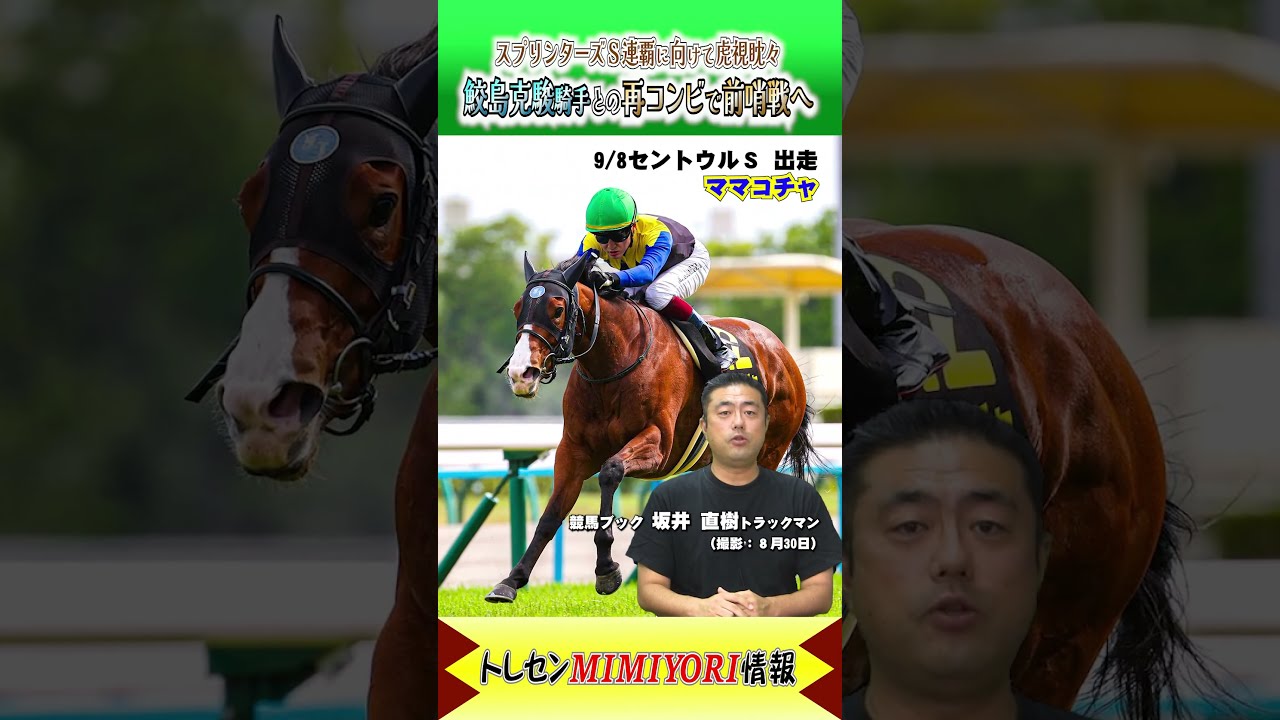 スプリンターズS連覇へ虎視眈々、順調な仕上がりで前哨戦に臨む！！  #shorts #ママコチャ #セントウルステークス