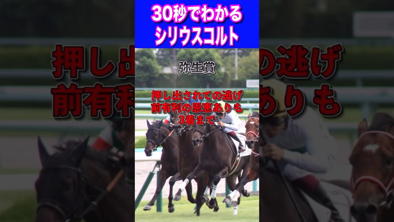 【皐月賞2024】30秒でわかるシリウスコルト