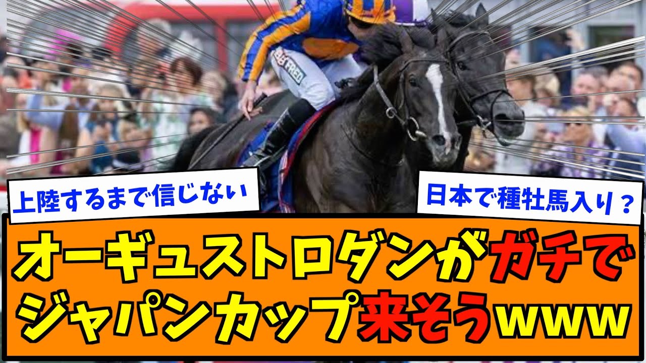 オーギュストロダンがガチでジャパンカップ来そうwwww
