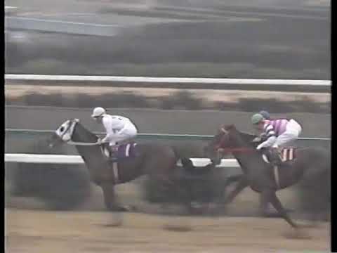 1982 有馬記念 ヒカリデユール