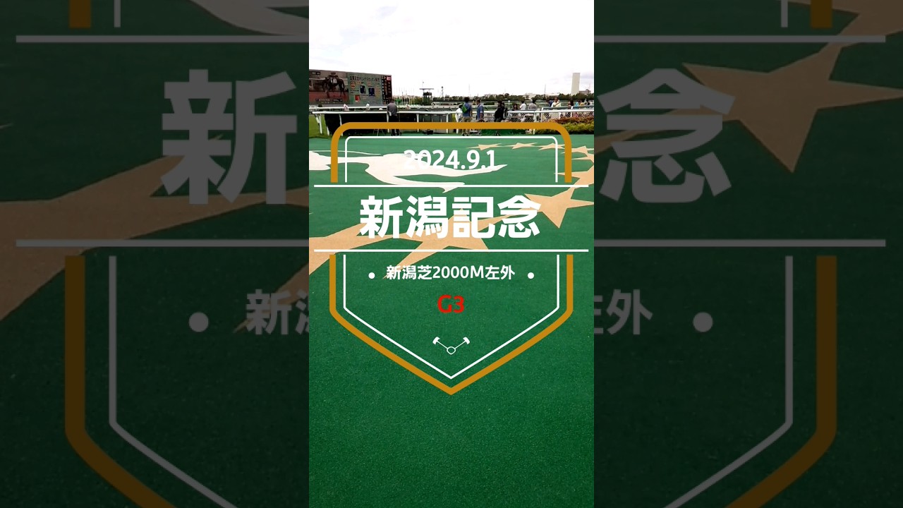 【新潟記念 2024】上位5頭予想！昨年の予想は3頭ドンピシャ！今年はどうなるか！？ライトバック、キングズパレス、レッドラディエンス勝つのは！？
