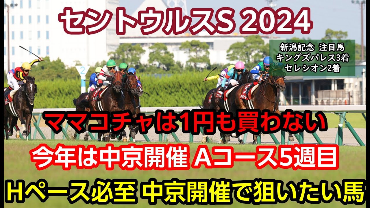 セントウルステークス 2024 予想【中京開催で狙いたい2頭 ママコチャは危険？】注目馬3頭+穴馬1頭紹介