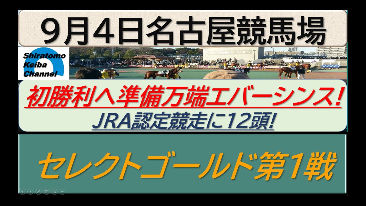 【競馬予想】セレクトゴールド第１戦！～２０２４年９月４日 名古屋競馬場 ：９－１１