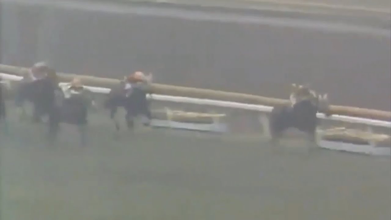 第42回 優駿牝馬 オークス テンモン 1981.05.24