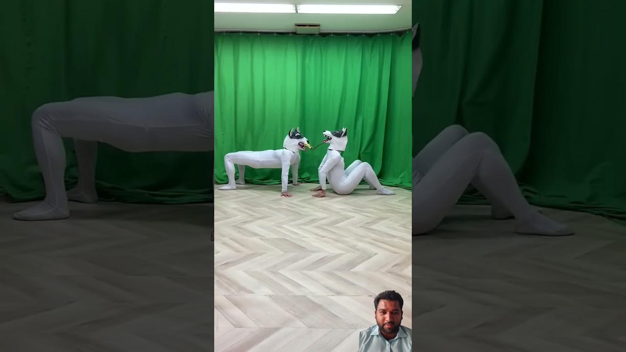 #dog #ジャパンカップ2022 #frenchbulldog #puppy #bulldog #funny #agt #シューマッハ #犬