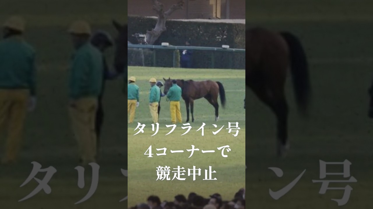 【壮絶な死】タリフライン死す　#競馬#競馬予想 #ホープフルs #ホープフルステークス #武豊