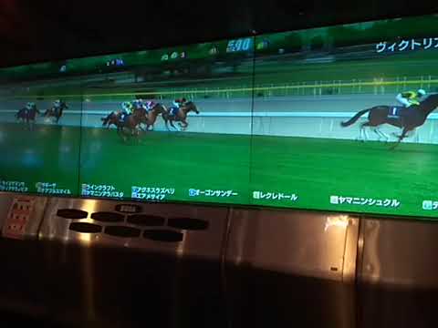 12ザギーザ ヴィクトリアマイル