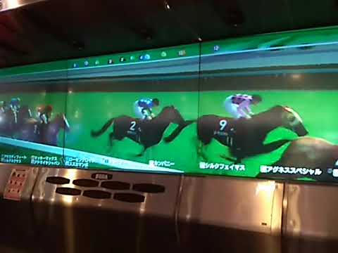 11ザギーザ 大阪杯