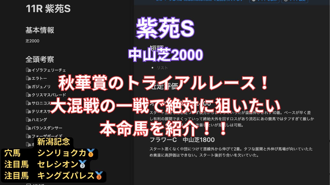 [紫苑S予想動画]秋華賞のトライアルレースを予想！大混戦の1戦で注目する馬は・・・