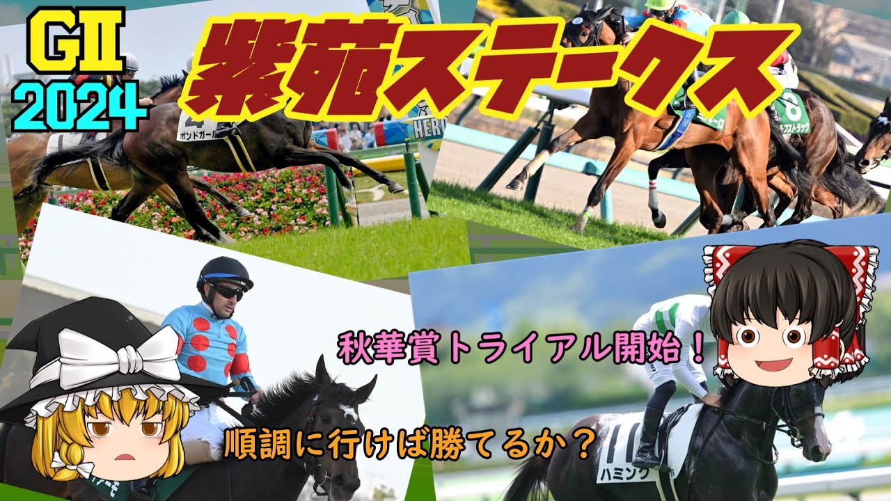 2024 紫苑ステークス を予想していくよ【秋華賞トライアル開始！】