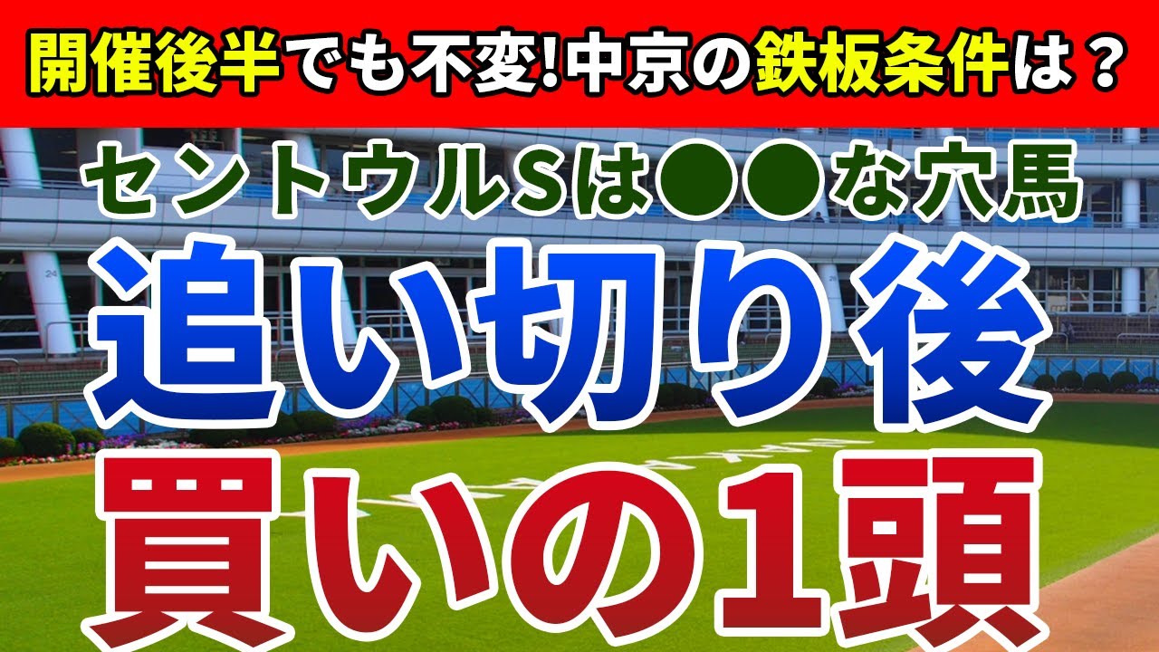 セントウルステークス2024 追い切り後【買いの1頭】公開！開催後半も不問の中京攻略ポイントは？今回のオッズは超おいしい実力馬を発表！